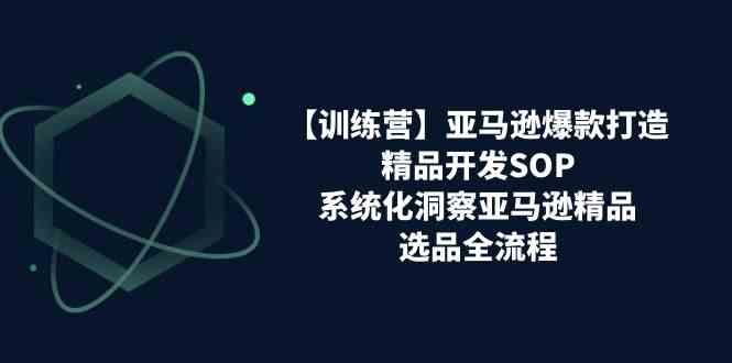 亚马逊爆款打造之精品开发SOP【训练营】,系统化洞察亚马逊精品选品全流程-润格副业网-每天分享热门副业赚钱项目