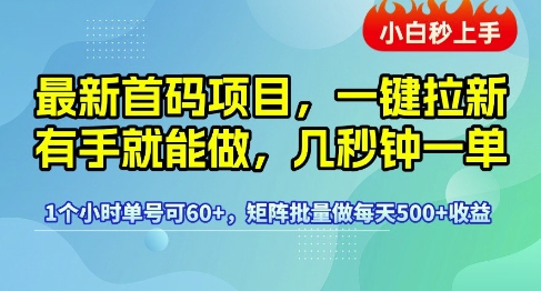 最新首码项目,一键拉新有手就能做,几秒钟一单,1个小时单号可60+,矩阵批量做每天5张【揭秘】-润格副业网-每天分享热门副业赚钱项目