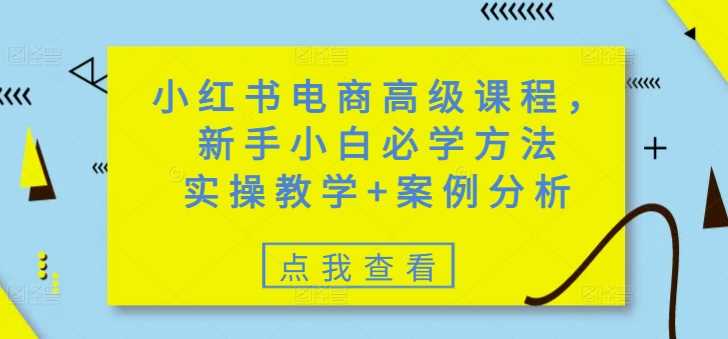 小红书电商高级课程,新手小白必学方法,实操教学+案例分析-润格副业网-每天分享热门副业赚钱项目