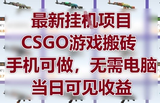 最新挂G项目,CSGO游戏搬砖,手机可做,无需电脑,当日见收益【揭秘】-润格副业网-每天分享热门副业赚钱项目