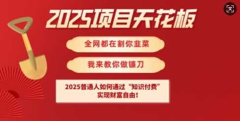 2025项目天花板普通人如何通过知识付费，实现财F自由【揭秘】-润格副业网-每天分享热门副业赚钱项目