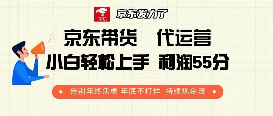 （13833期）京东带货 代运营 利润55分 告别年终焦虑 年底不打烊 持续现金流-润格副业网-每天分享热门副业赚钱项目
