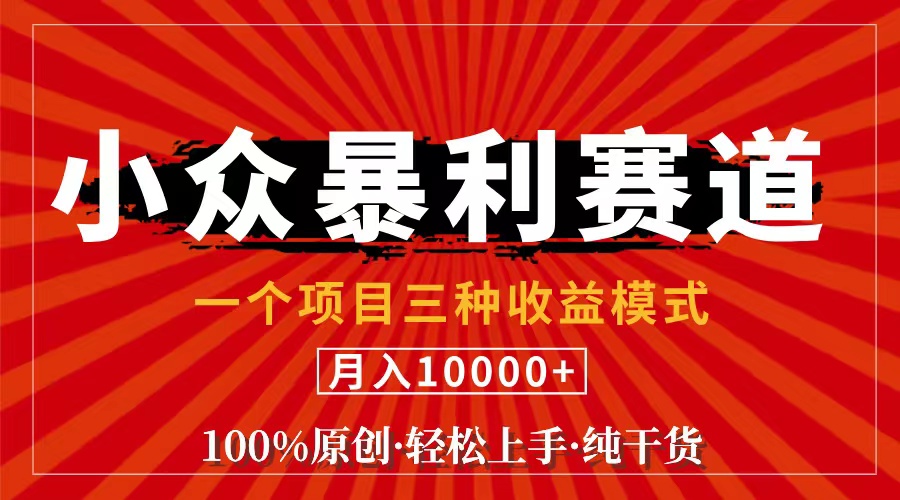 （11695期）视频号【中老年粉深信不疑】小众赛道 100%原创 手把手教学 新号3天收益…-润格副业网-每天分享热门副业赚钱项目