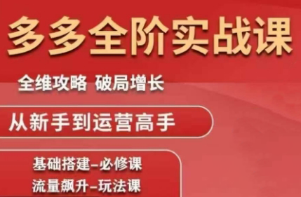 大炮·拼多多全阶实战课程(更新10月)-润格副业网-每天分享热门副业赚钱项目