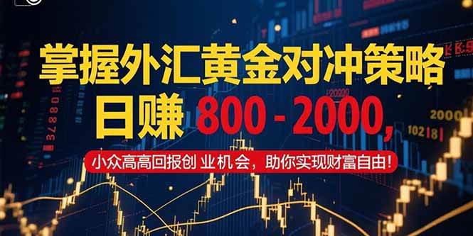 (15198期)掌握外汇黄金对冲策略,日赚 800 – 2000,小众高回报创业机会,助你实…-润格副业网-每天分享热门副业赚钱项目