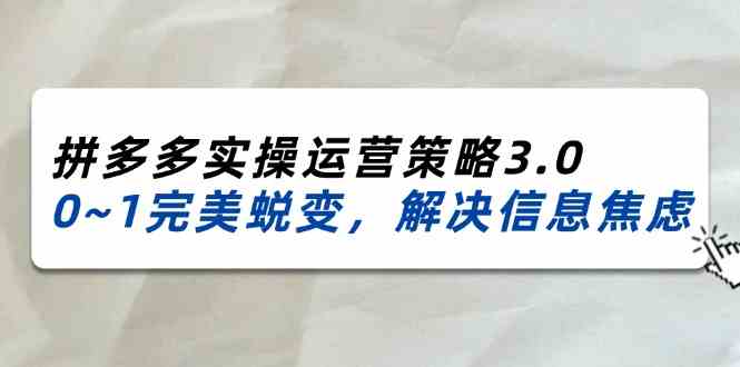 2024-2025拼多多实操运营策略3.0，0~1完美蜕变，解决信息焦虑（38节）-润格副业网-每天分享热门副业赚钱项目