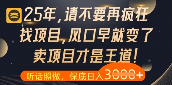 什么？25年你还在疯狂找项目做，醒醒吧，看完这些你全都懂了【揭秘】-润格副业网-每天分享热门副业赚钱项目