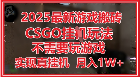 2025最新游戏搬砖,CSGO挂G,不需要玩游戏,实现真挂G,月入1W+【揭秘】-润格副业网-每天分享热门副业赚钱项目