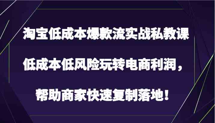 淘宝低成本爆款流实战私教课，低成本低风险玩转电商利润，帮助商家快速复制落地！-润格副业网-每天分享热门副业赚钱项目