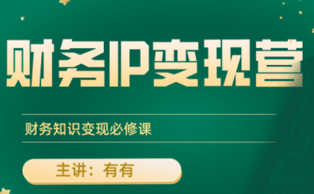 有有老师·财务IP变现营，财务知识变现必修课-润格副业网-每天分享热门副业赚钱项目
