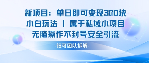 新项目单日即可变现3张的小白玩法无脑操作不封号安全引流-润格副业网-每天分享热门副业赚钱项目